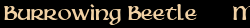 Contentbox headline