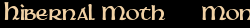 Contentbox headline