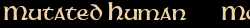 Contentbox headline